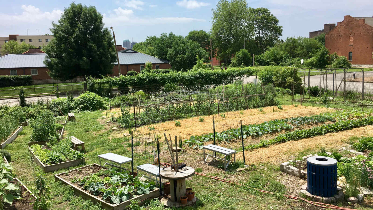 Community in the Hardest Place I Know – Permaculture Institute, Inc.
