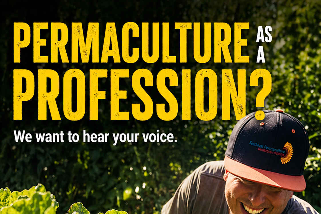 Global professional permaculture pathways survey image